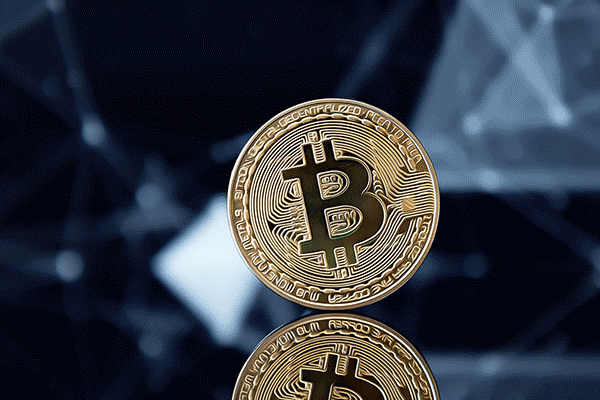 XRP与狗狗币投资对比：实用支付与社交热潮的加密之争